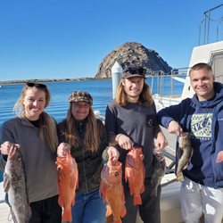 Bent Rod Sportfishing