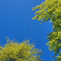 Zuanich Point Park - High flying kite.