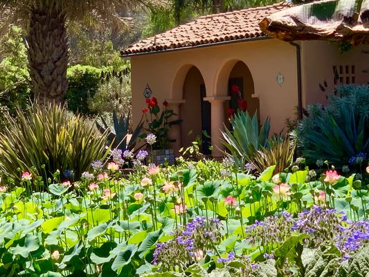 Ganna Walska Lotusland by null