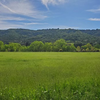 Marilyn Murphy Kane Trail - Views - Hiking Near Me - Pleasanton, California Marilyn Murphy Kane Trail - Views - Hiking Near Me - Pleasanton, California