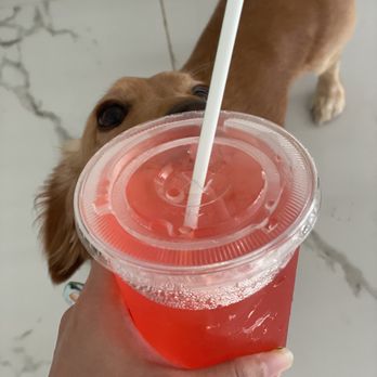 Da Lemonade Squad - a person holding a plastic cup with a straw - Juice Bars & Smoothies Near Me - Mililani, Hawaii Da Lemonade Squad - a person holding a plastic cup with a straw - Juice Bars & Smoothies Near Me - Mililani, Hawaii