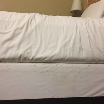 Great Wolf Lodge - Dirty bed - Resorts Near Me - Williamsburg, Virginia