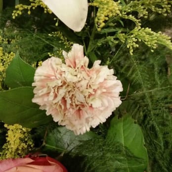 Buffalo Floral & Landscaping - this is just gross! - Florists Near Me - Buffalo, Minnesota Buffalo Floral & Landscaping - this is just gross! - Florists Near Me - Buffalo, Minnesota
