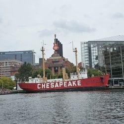Team Chessie - Inner Harbor Paddleboats and Electric Boats