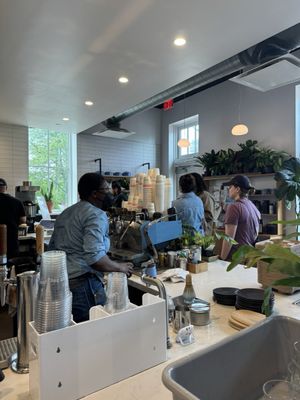 Lost Sock Roasters by null