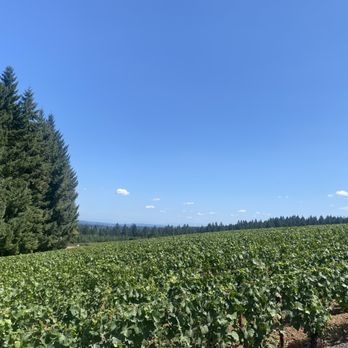 Ardiri Winery & Vineyards - Wineries Near Me - Cornelius, Oregon Ardiri Winery & Vineyards - Wineries Near Me - Cornelius, Oregon