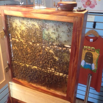 The Honey Exchange - Specialty Food Near Me - Portland, Maine The Honey Exchange - Specialty Food Near Me - Portland, Maine