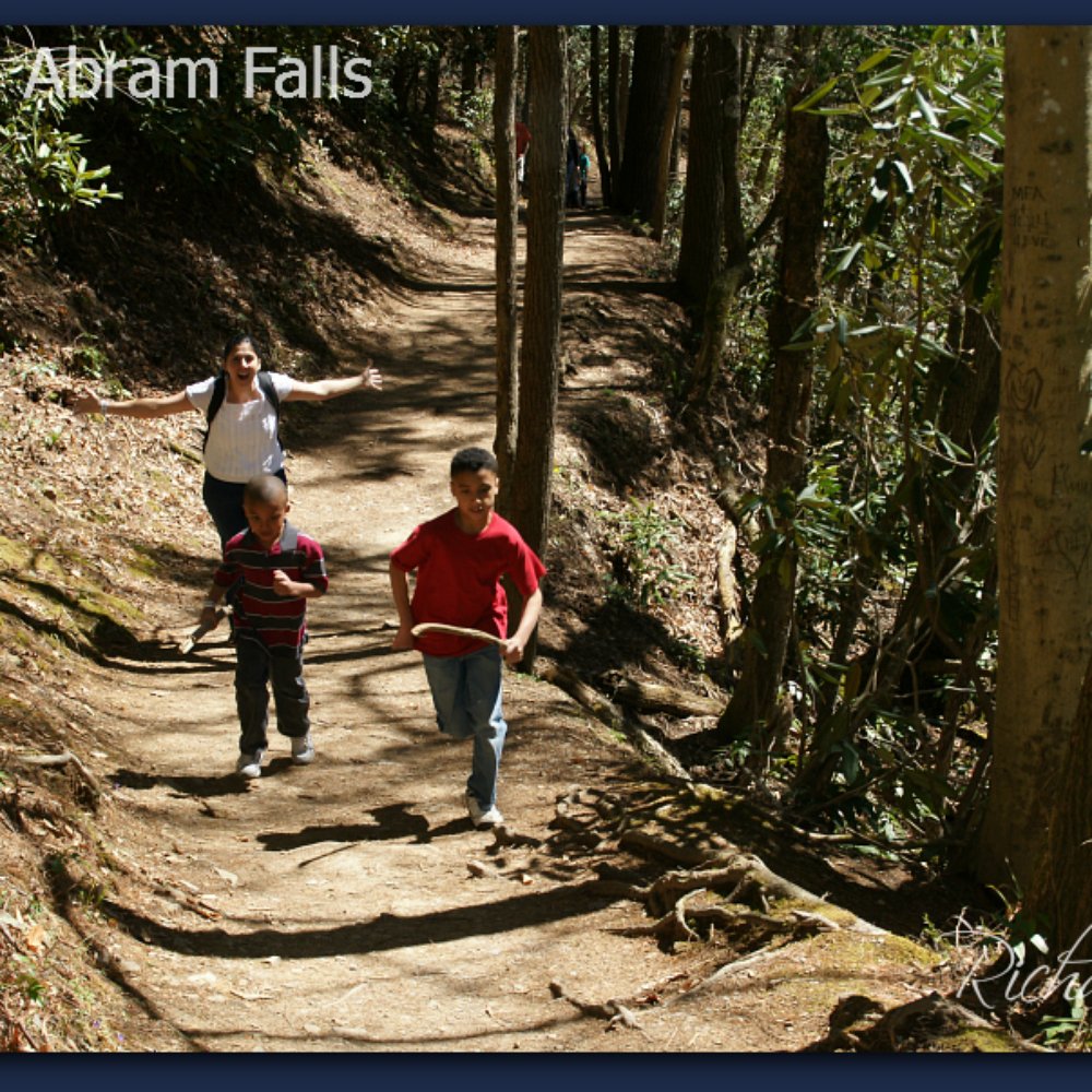 Abrams Falls - *singing* A marching we will go, a marching we will go... heigh ho, the dairy-o, a marching we will go! - Hiking Near Me - Townsend, Tennessee Abrams Falls - *singing* A marching we will go, a marching we will go... heigh ho, the dairy-o, a marching we will go! - Hiking Near Me - Townsend, Tennessee