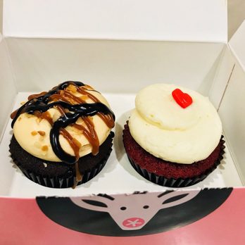 Georgetown Cupcake - Bailey's German Chocolate & Red Velvet - Bakeries Near Me - Bethesda, Maryland Georgetown Cupcake - Bailey's German Chocolate & Red Velvet - Bakeries Near Me - Bethesda, Maryland