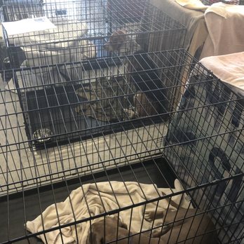Petco - Pet Stores Near Me - Bakersfield, California Petco - Pet Stores Near Me - Bakersfield, California