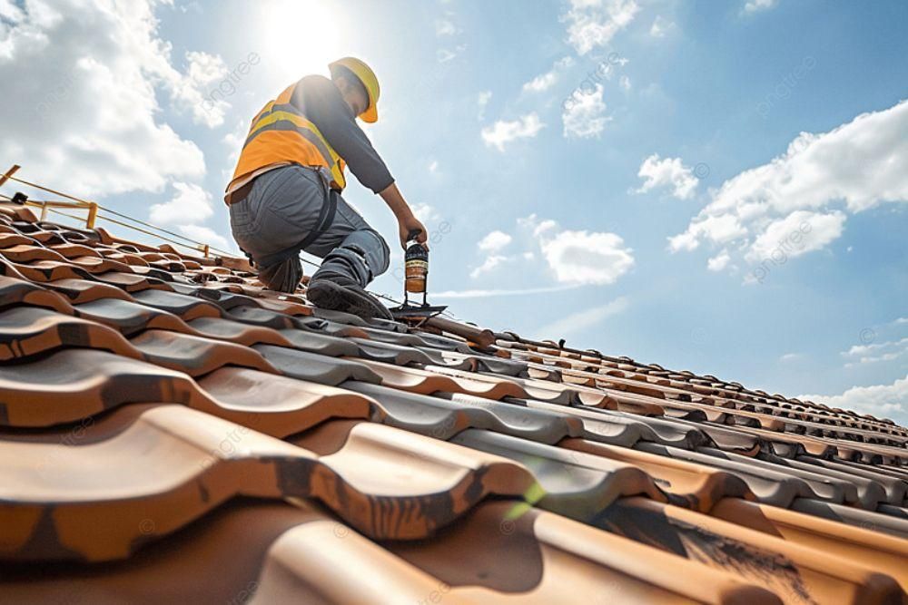 Slide of Dolphin Roofing