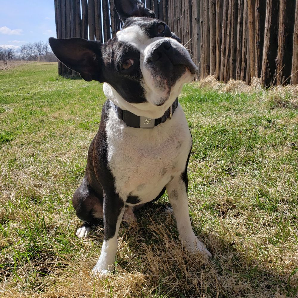 Aztalan State Park - Dog friendly - Parks Near Me - Jefferson, Wisconsin Aztalan State Park - Dog friendly - Parks Near Me - Jefferson, Wisconsin