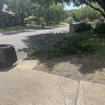 Iron Oaks Clearing - Just in time for brush pick up - Tree Services Near Me - San Antonio, Texas Iron Oaks Clearing - Just in time for brush pick up - Tree Services Near Me - San Antonio, Texas