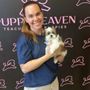 Photo of Puppy Heaven - Teacup & Toy Puppies for Sale