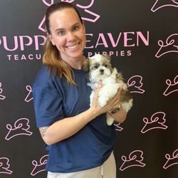Puppy Heaven - Teacup & Toy Puppies for Sale - Happy Puppy Heaven's Customers