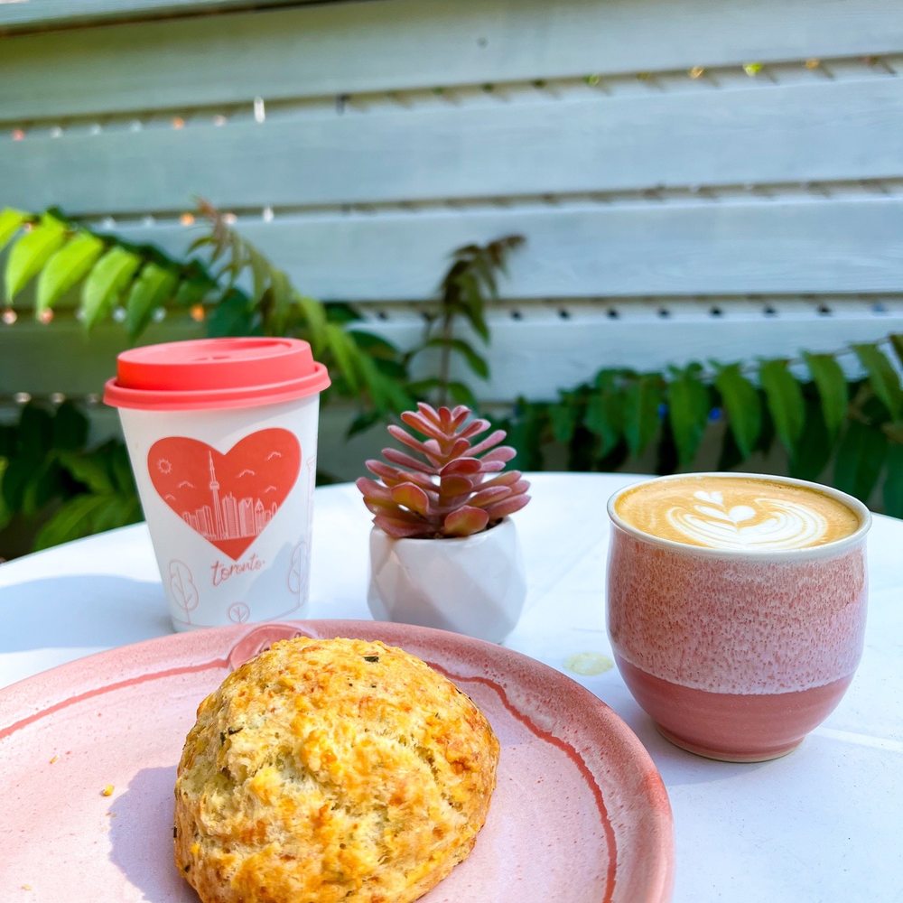 Herb & Cheddar Scone, Oat Latte, The Doctor (8 oz). Herb & Cheddar Scone, Oat Latte, The Doctor (8 oz).