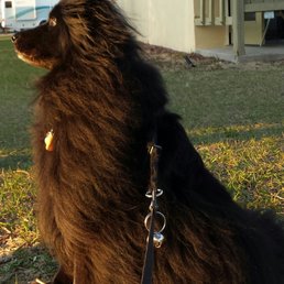 Dakota