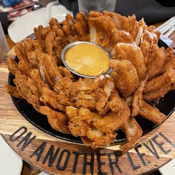 Outback Steakhouse - The all famous BLOOMING ONION - Steakhouses Near Me - Killeen, Texas Outback Steakhouse - The all famous BLOOMING ONION - Steakhouses Near Me - Killeen, Texas