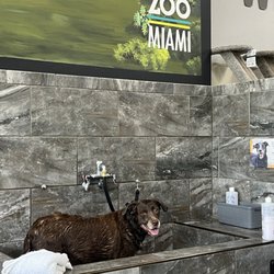 Pet Supermarket