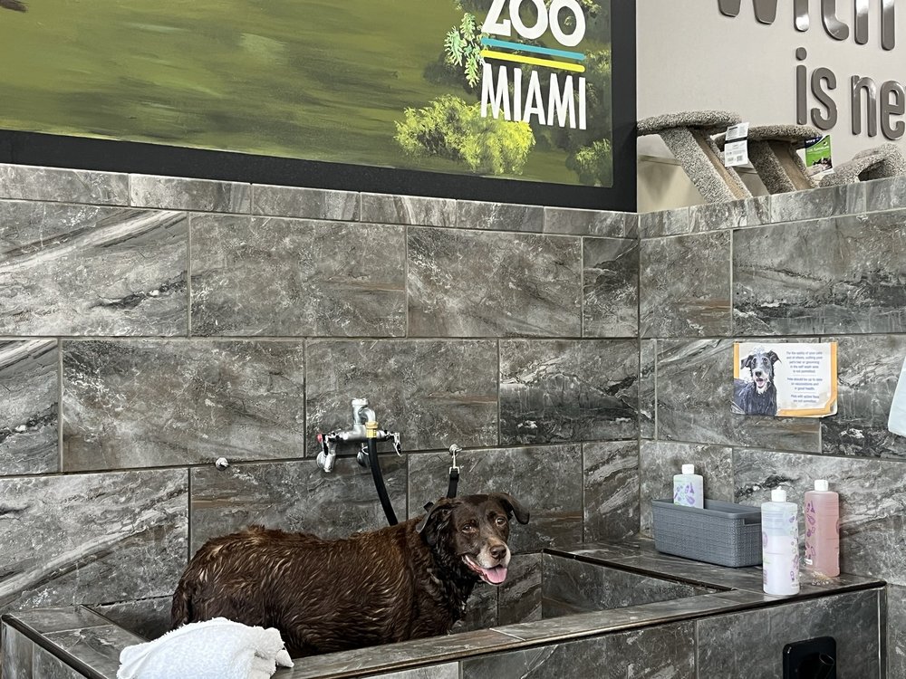 Pet Supermarket Image