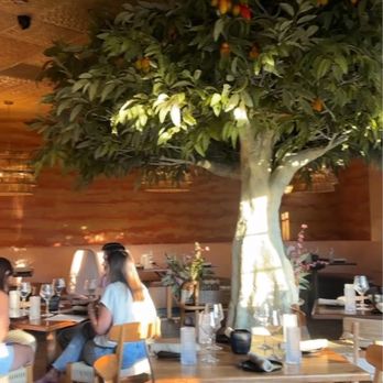 Spicy Mango - Caribbean Near Me - New Orleans, Louisiana