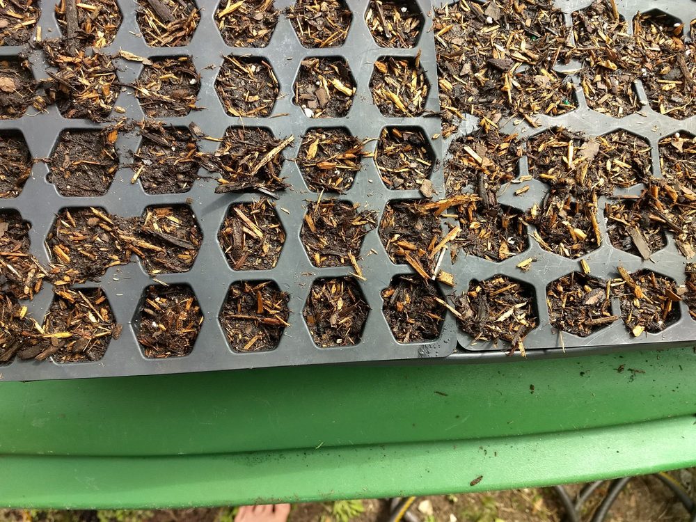 CONSOLIDATED ACE HDWE Updated August 2024 8188 Navarre Pkwy, Navarre, Florida Hardware