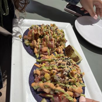 Bar Sol - Tuna ceviche tostadas - Bars Near Me - Chicago, Illinois Bar Sol - Tuna ceviche tostadas - Bars Near Me - Chicago, Illinois