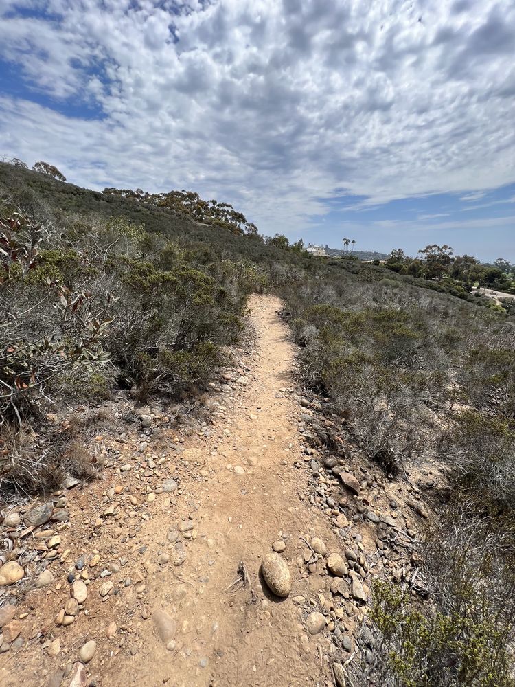 La Jolla Heights Open Space Logo