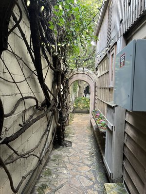 The Xocolatl Garden by null