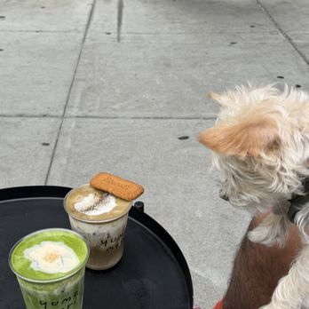 Yume Mori Matcha - Hojicha (biscoff) and Yuzu matcha - Coffee & Tea Near Me - Berkeley, California Yume Mori Matcha - Hojicha (biscoff) and Yuzu matcha - Coffee & Tea Near Me - Berkeley, California