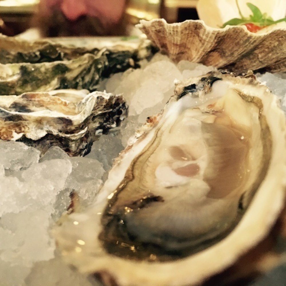 J Sheekey - Seafood Near Me - London, XGL J Sheekey - Seafood Near Me - London, XGL