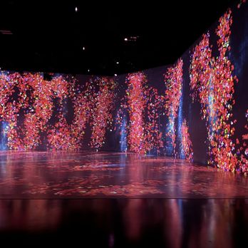Superblue Miami - Art on the walls , super pretty . - Art Museums Near Me - Miami, Florida