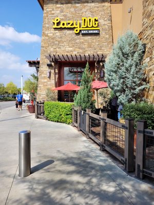 Lazy Dog Restaurant & Bar by null