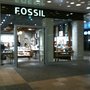Photo of Fossil