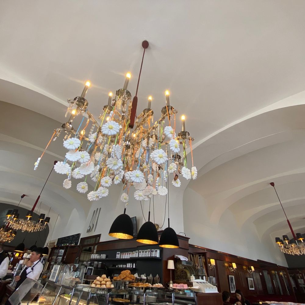 Café Diglas - Coffee & Tea Near Me - Vienna, 9 Café Diglas - Coffee & Tea Near Me - Vienna, 9