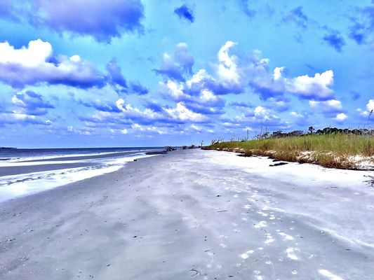 Jekyll Island by null