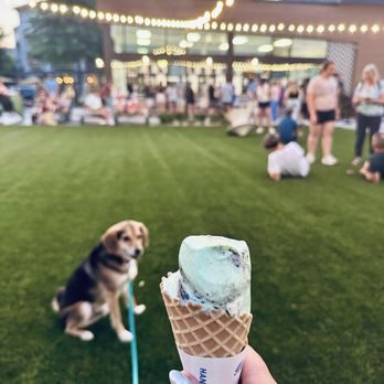 Handel’s Homemade Ice Cream - Mint with Oreo in a waffle cone, half eaten - Ice Cream & Frozen Yogurt Near Me - Franklin, Tennessee