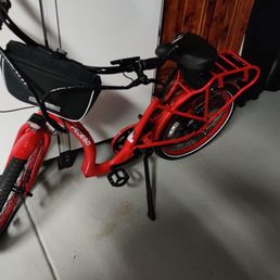 Latest Pedego purchase