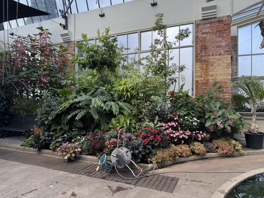 Auckland Domain by null