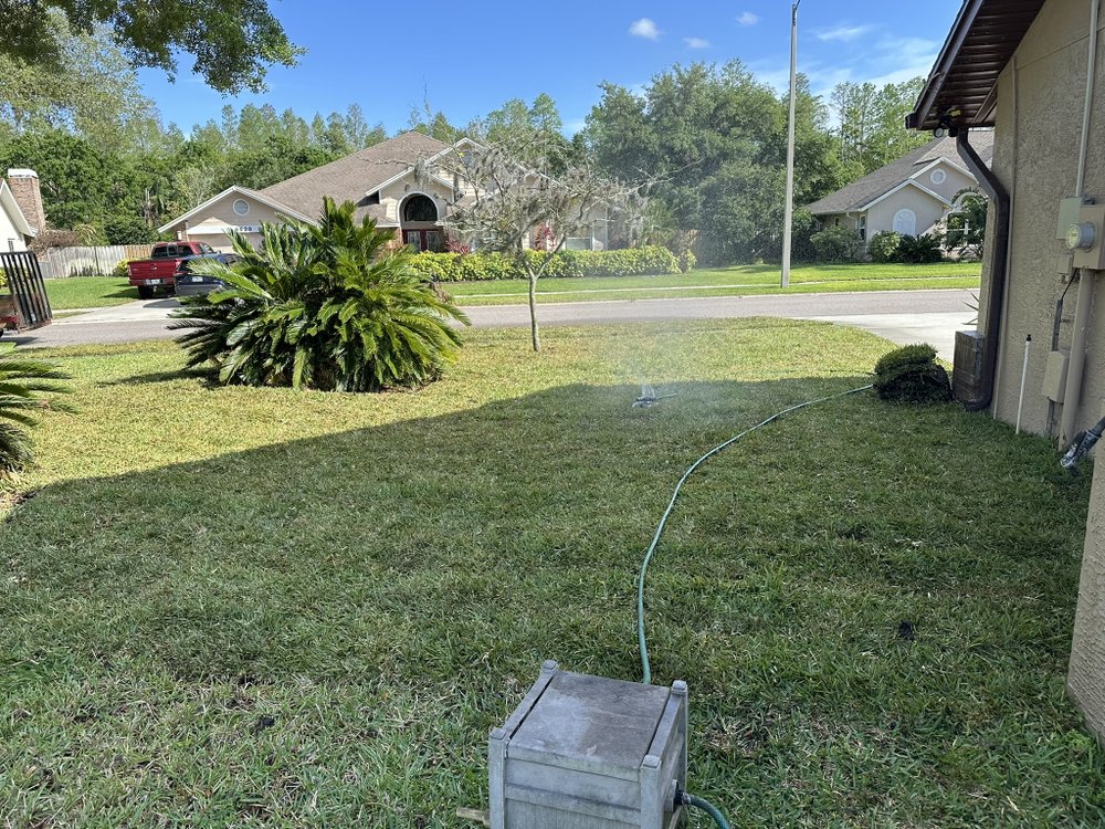 Wills I Am Landscaping - tree service in Tampa, FL