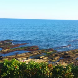 Clambake Club - The View