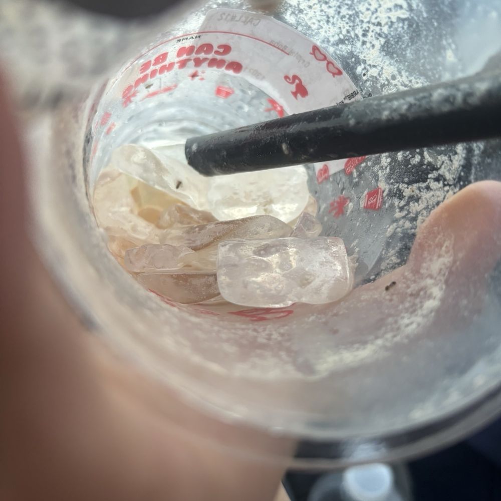 The KF Milk Tea had ants frozen in the ice and inside the cups. When we walked in there was ants crawling at the front register. The KF Milk Tea had ants frozen in the ice and inside the cups. When we walked in there was ants crawling at the front register.