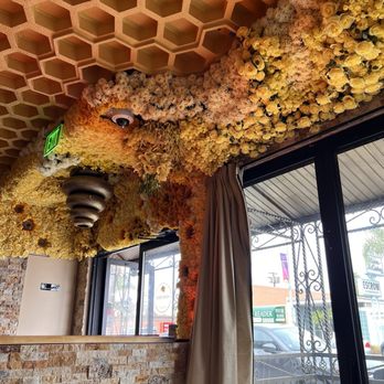 Honeybees - Coffee & Tea Near Me - San Diego, California Honeybees - Coffee & Tea Near Me - San Diego, California