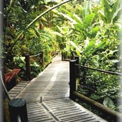 Hawaii Tropical Botanical Garden