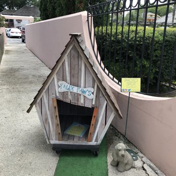 Faux Paws - Photo opp - Pet Stores Near Me - Saint Augustine, Florida