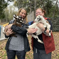 Duluth Goat Yoga - Holding baby goats
