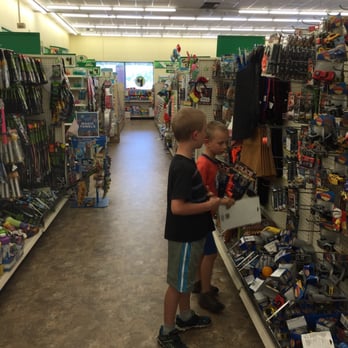 Dollar Tree Stores - Scoping out the toys - Department Stores Near Me - Citrus Heights, California