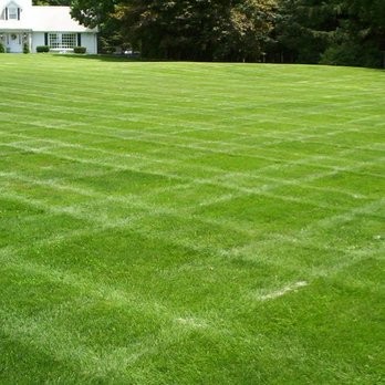 Island Edge Lawn Care - a freshly mowed lawn - Lawn Services Near Me Island Edge Lawn Care - a freshly mowed lawn - Lawn Services Near Me
