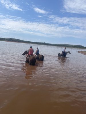 Abilene State Park by null