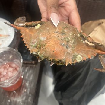 Wicker's Crab Pot - steamed crab - Seafood Near Me - Chesapeake, Virginia Wicker's Crab Pot - steamed crab - Seafood Near Me - Chesapeake, Virginia